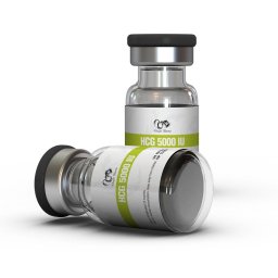 Deca 500 - Nandrolone Decanoate - Dragon Pharma, Europe Deca 500 - Nandrolone Decanoate - Dragon Pharma, Europe